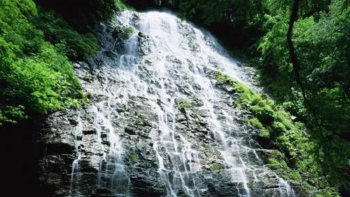 高性能稳定性智能化